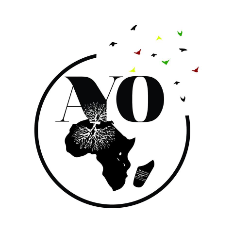 AYO: Antwerpse studentenvereniging richt zich op Afrika