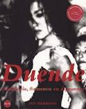 Duende van auteur Ivo Hermans, over Andalucía, flamenc